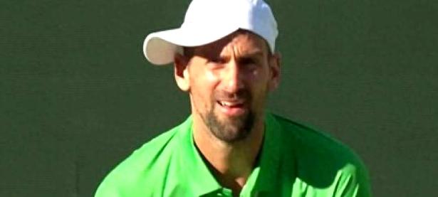 28Circle-德约科维奇遭遇七连败，美国队教练面临压力！的简单介绍