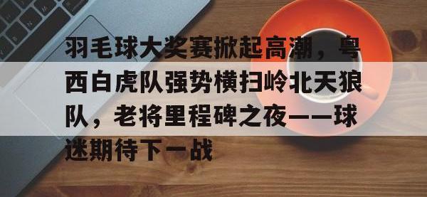 28圈- 集团公司羽毛球比赛新闻报道稿 